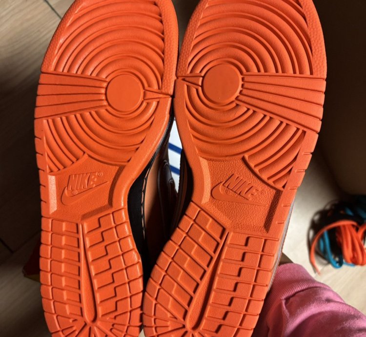 Nike Dunk Low Sb Orange Lobster