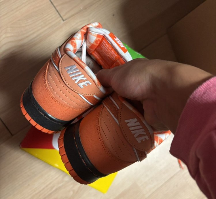 Nike Dunk Low Sb Orange Lobster
