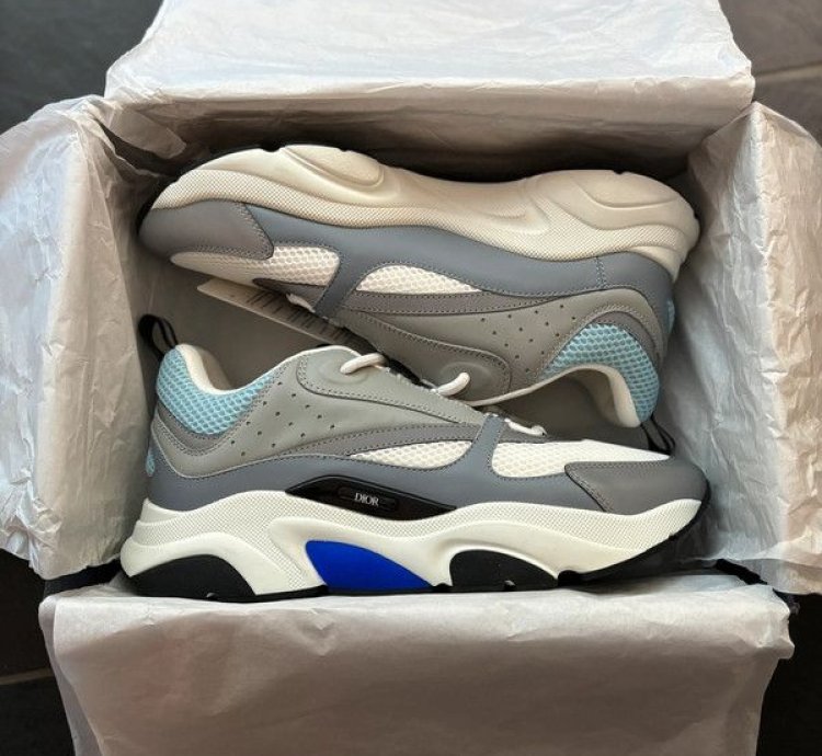 Dior B22 Sneakers Grey Blue