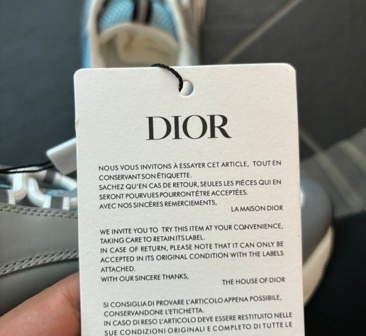 Dior B22 Sneakers Grey Blue