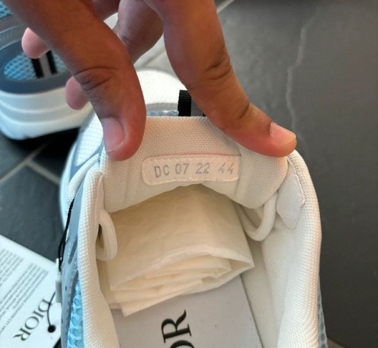 Dior B22 Sneakers Grey Blue
