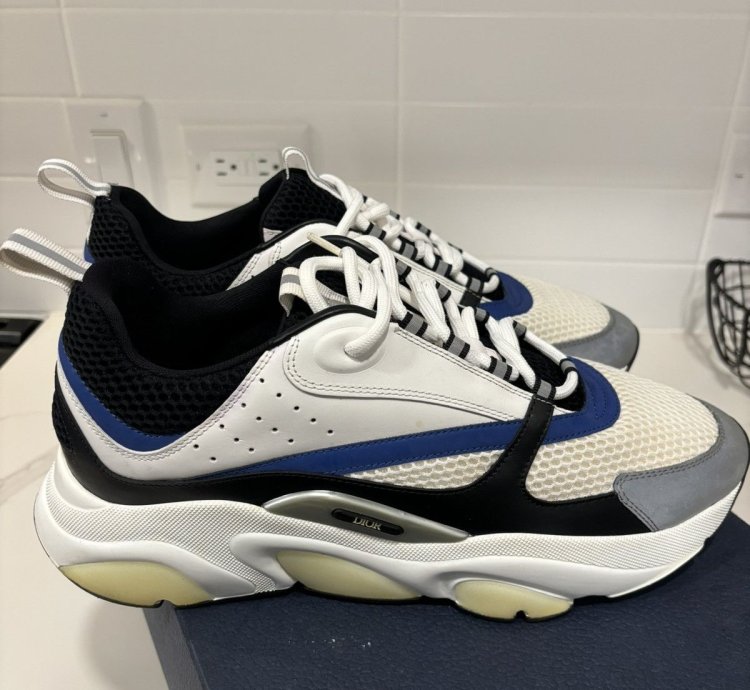 Dior B22 Sneakers White Black Blue