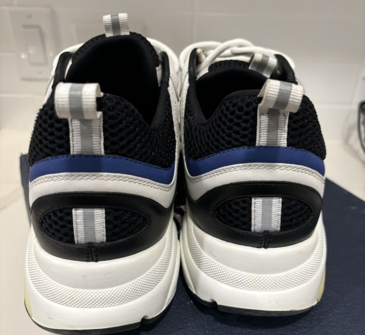 Dior B22 Sneakers White Black Blue