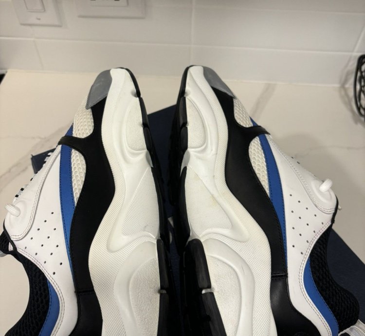 Dior B22 Sneakers White Black Blue