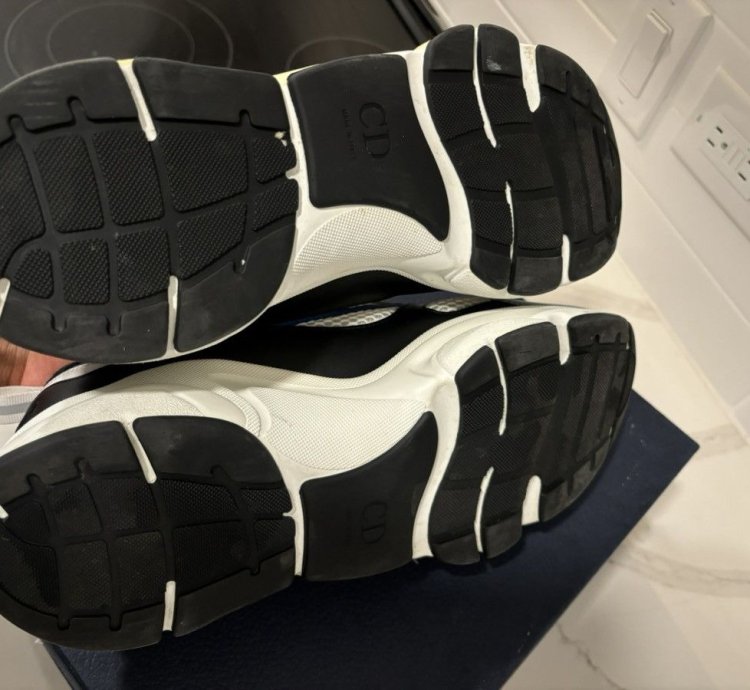 Dior B22 Sneakers White Black Blue