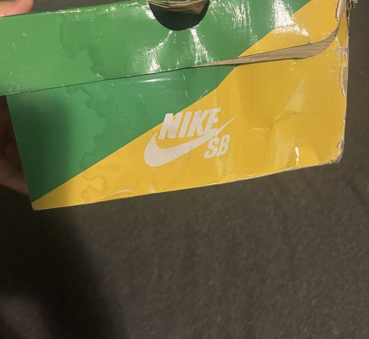Nike Dunk Sb Streethawker