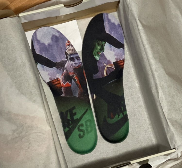 sealed Wizard Of Oz Nike Sb Dunk Low Pro Woo Qs Size 11