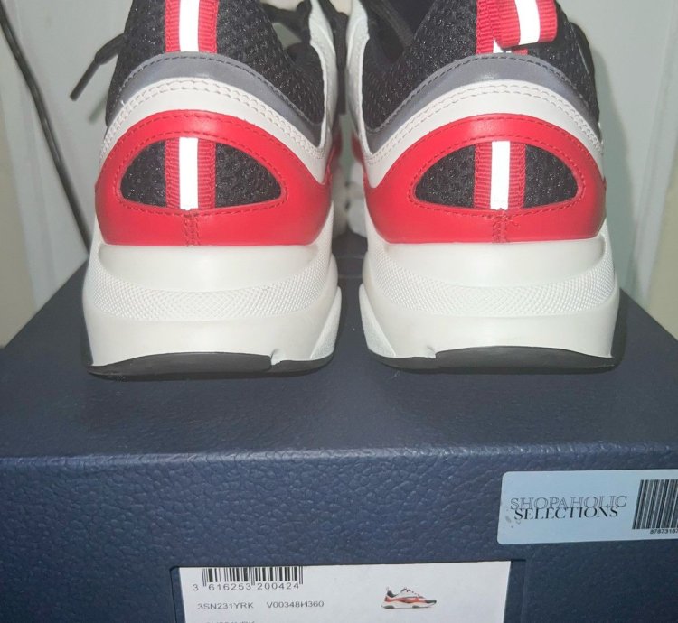 Dior B22 White Red