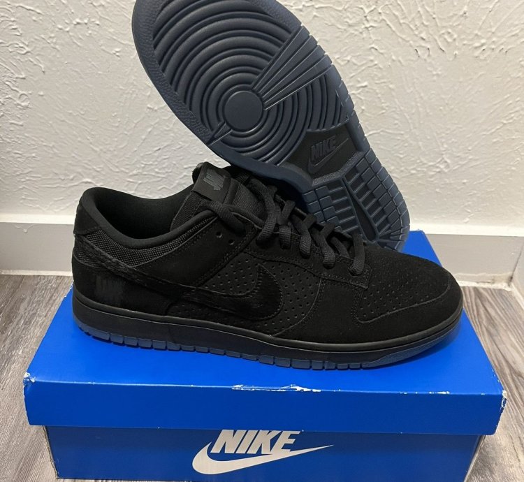 Nike Dunk Undefeated