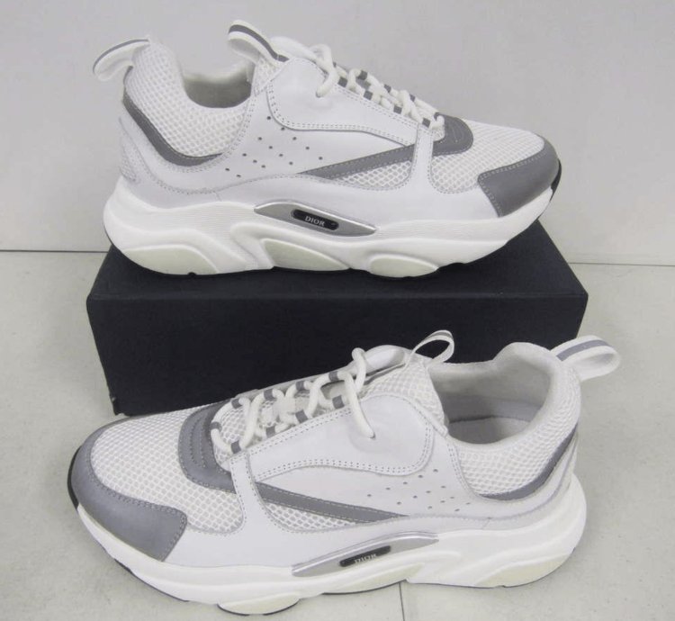 Dior B22 White Silver