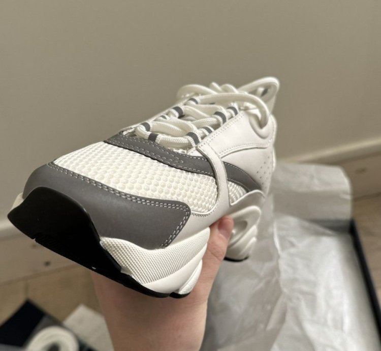 Dior B22 White Silver