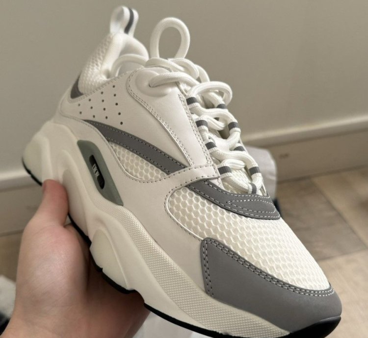 Dior B22 White Silver