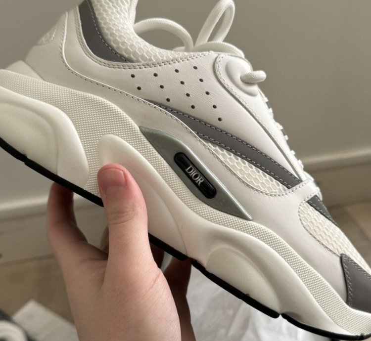 Dior B22 White Silver