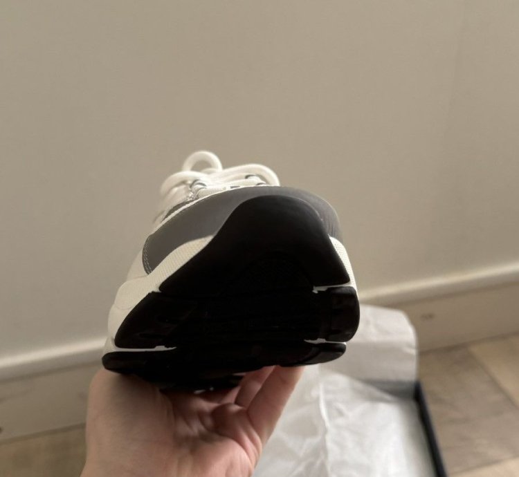 Dior B22 White Silver
