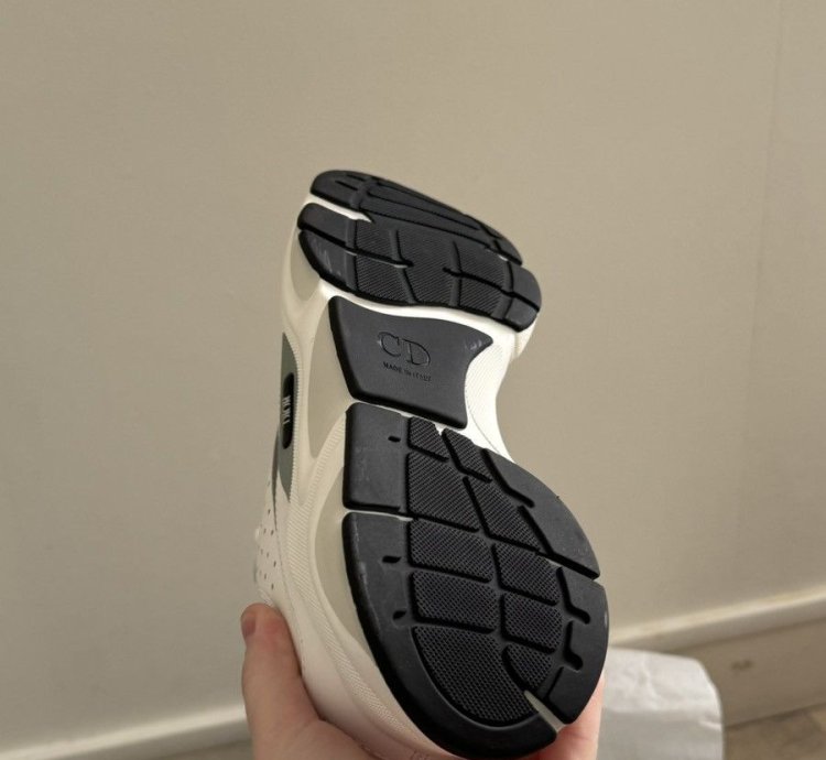Dior B22 White Silver