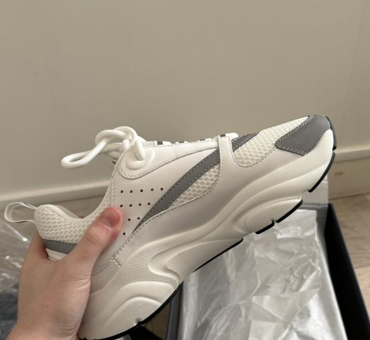 Dior B22 White Silver