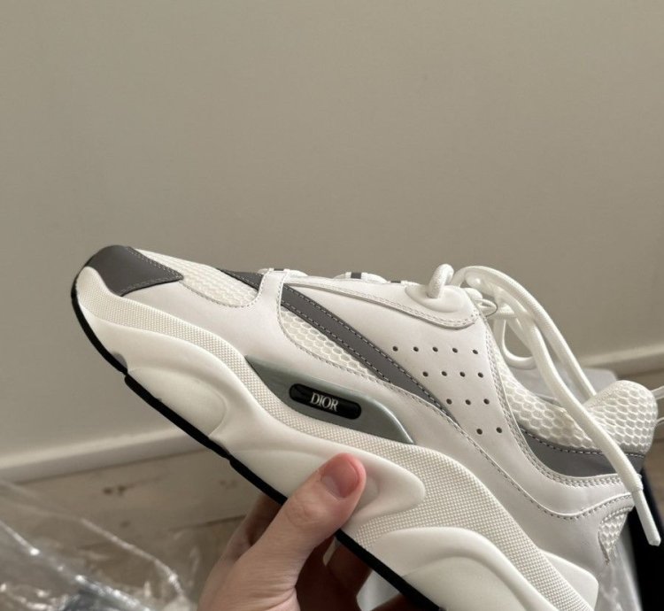 Dior B22 White Silver