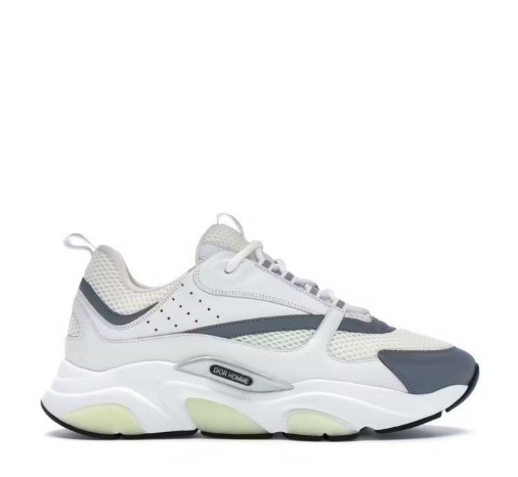 Dior B22 White Silver Sneakers 3sn231yjg