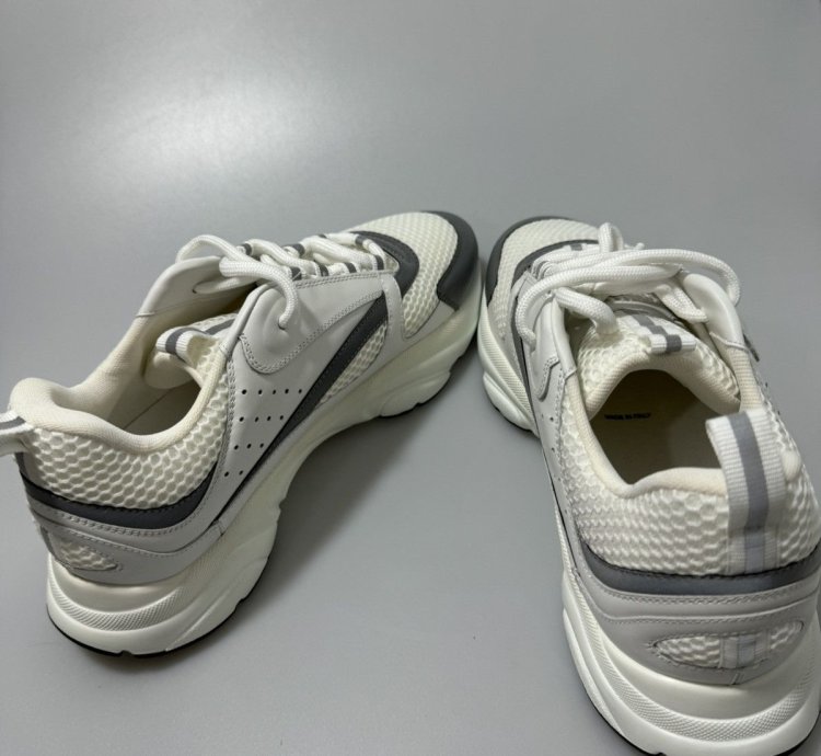 Dior B22 White Silver Sneakers 3sn231yjg