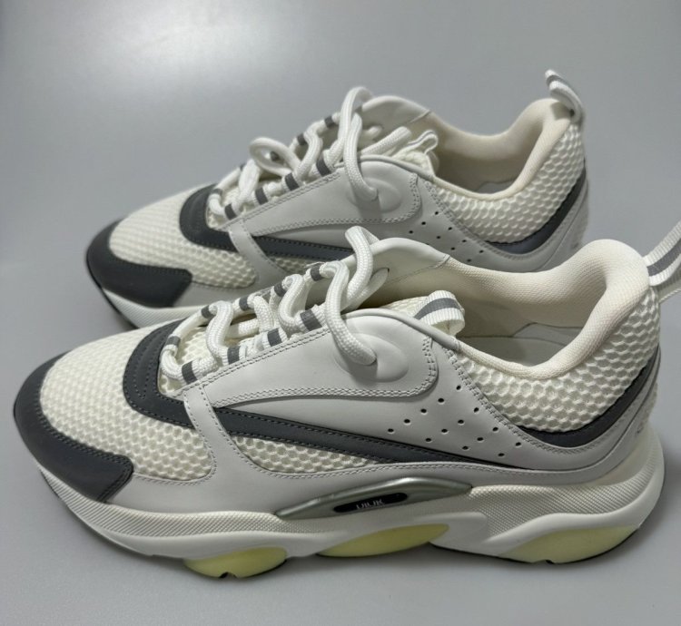 Dior B22 White Silver Sneakers 3sn231yjg