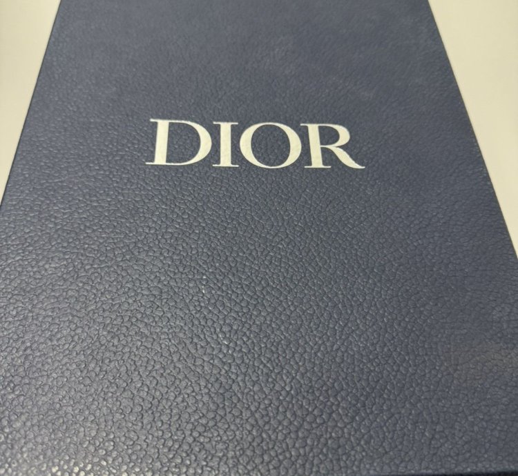 Dior B22 White Silver Sneakers 3sn231yjg