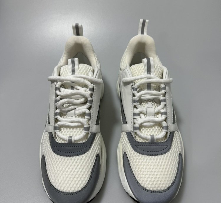 Dior B22 White Silver Sneakers 3sn231yjg