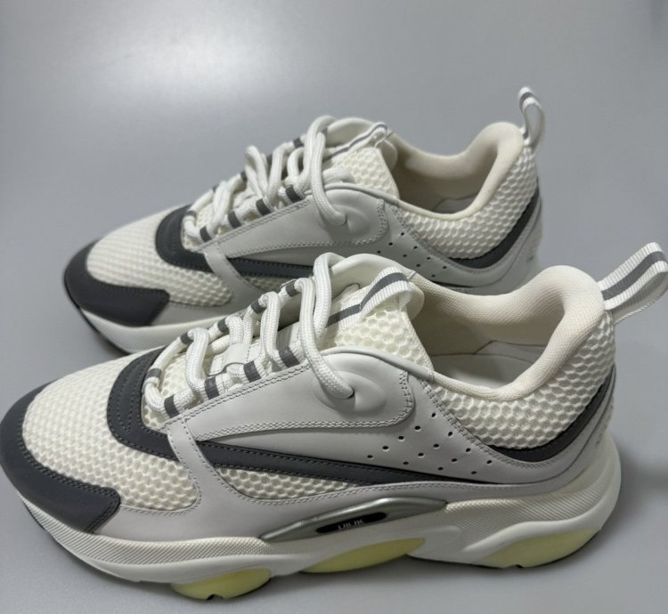 Dior B22 White Silver Sneakers 3sn231yjg