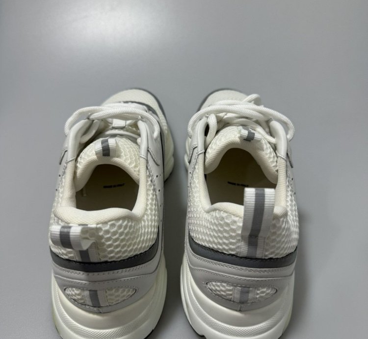Dior B22 White Silver Sneakers 3sn231yjg