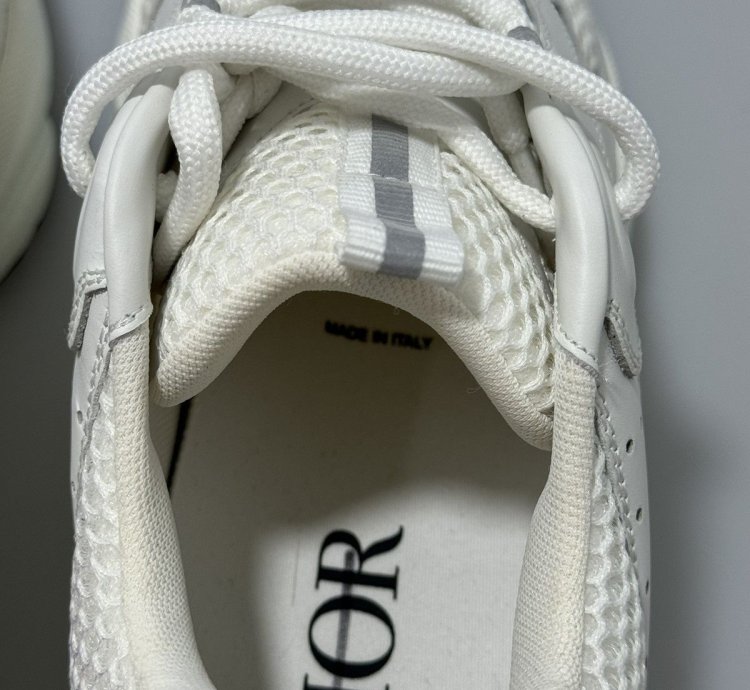 Dior B22 White Silver Sneakers 3sn231yjg