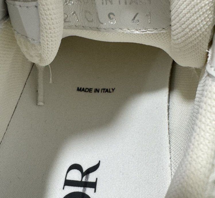 Dior B22 White Silver Sneakers 3sn231yjg