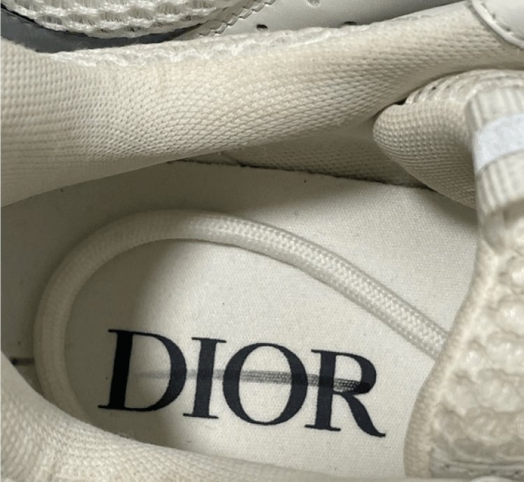 Dior B22 White Silver Sneakers Men Eu 43 Us 10