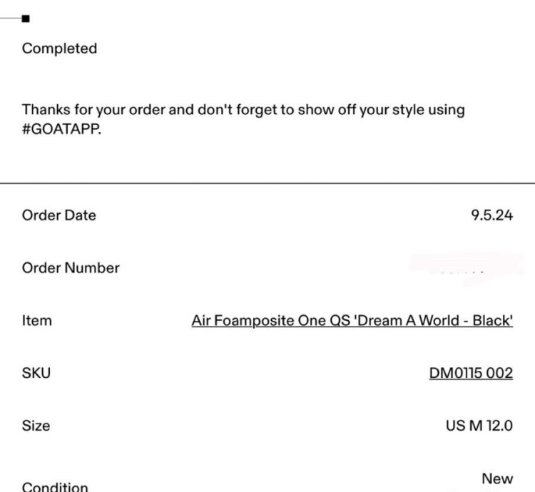 Nike Foamposite Dream World Black Size 12