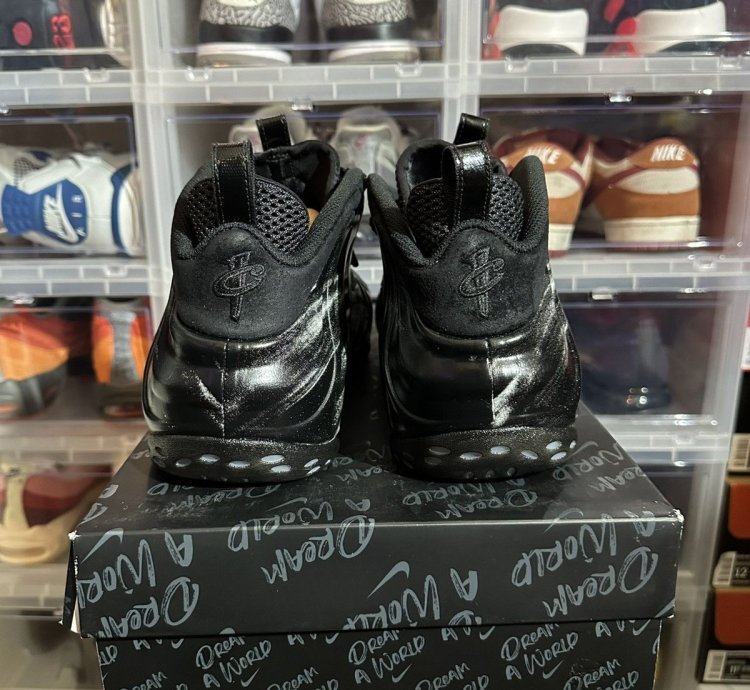 Nike Foamposite Dream World Black Size 12