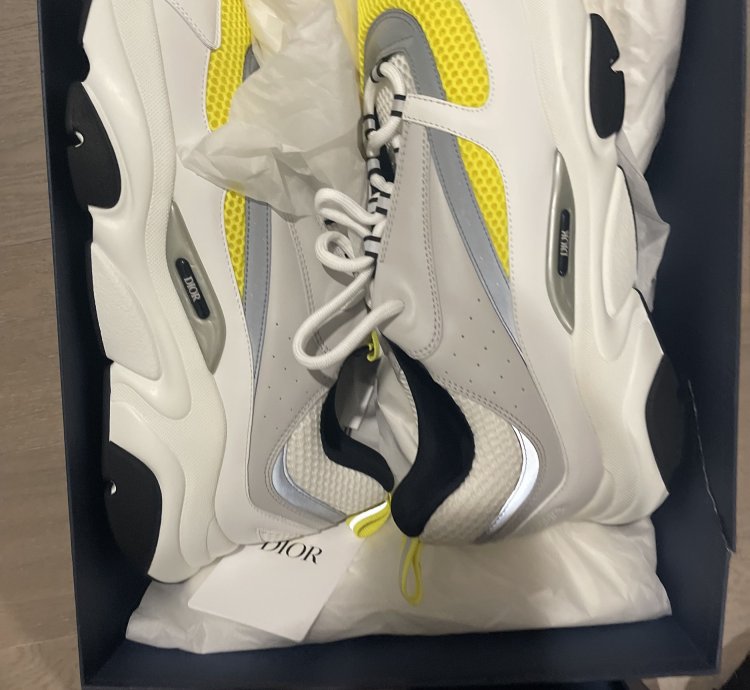 Dior B22 White Yellow