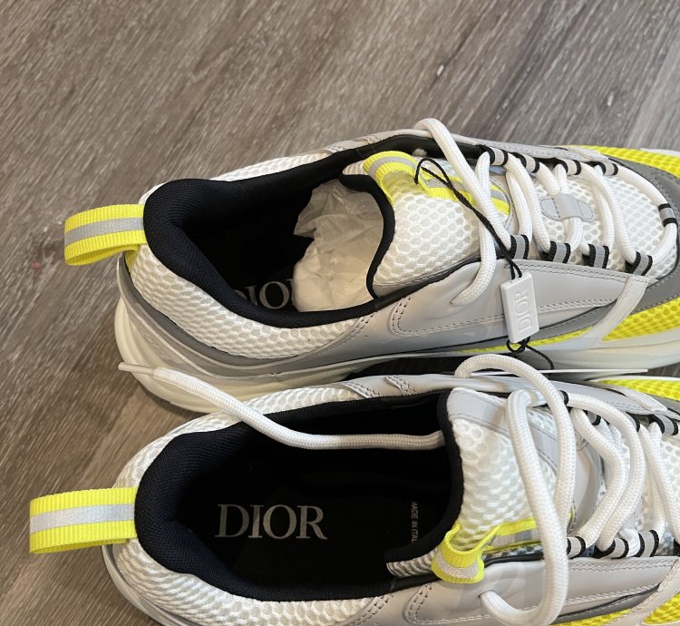 Dior B22 White Yellow
