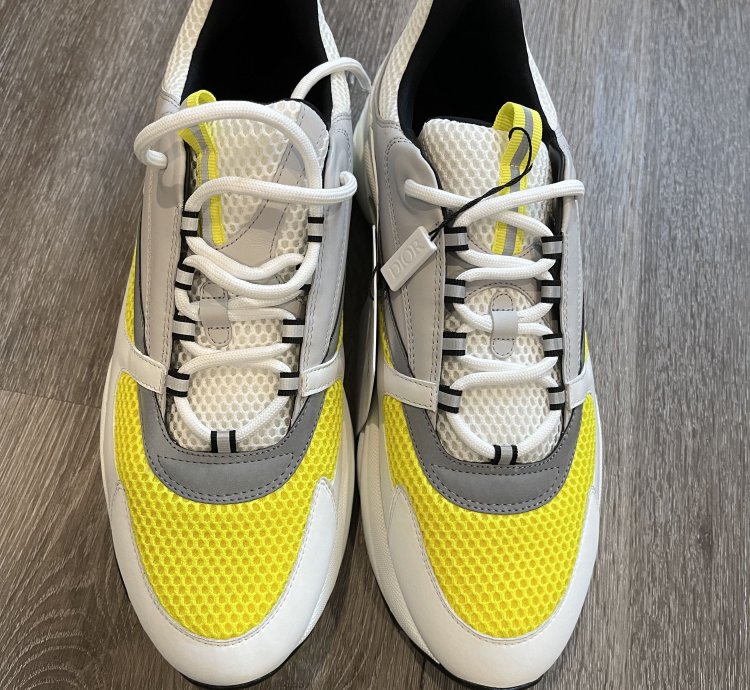Dior B22 White Yellow