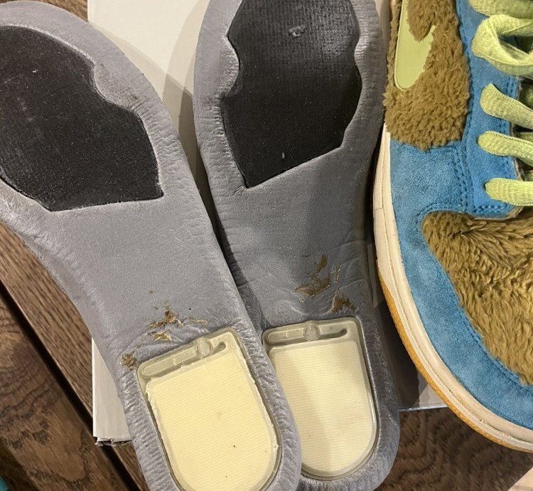 2006 Nike Sb Dunk Low Baby Bear