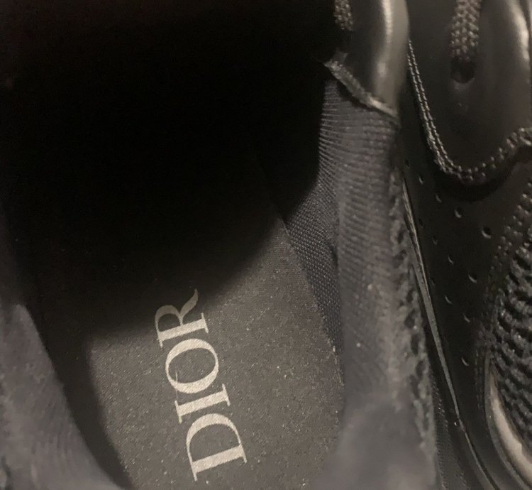Dior B22s