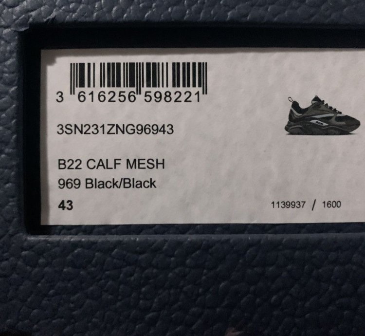 Dior B22s