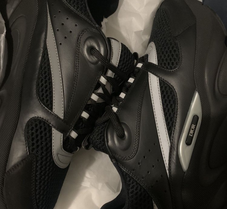 Dior B22s