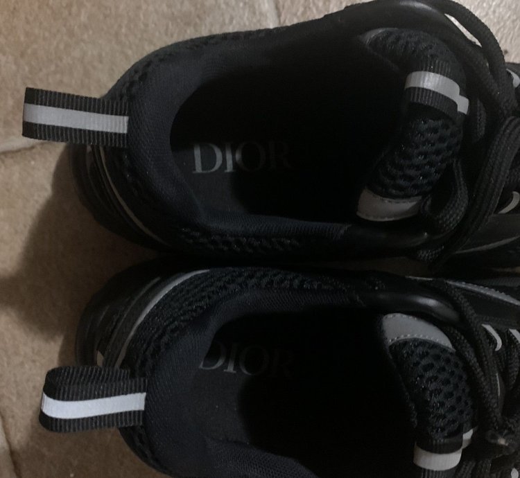 Dior B22s