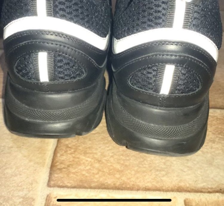 Dior B22s