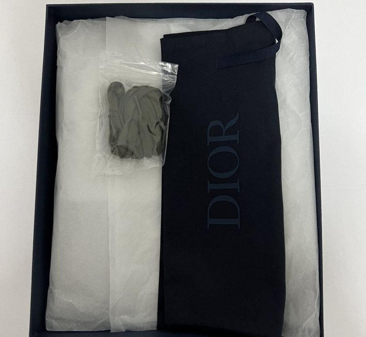 Dior B23