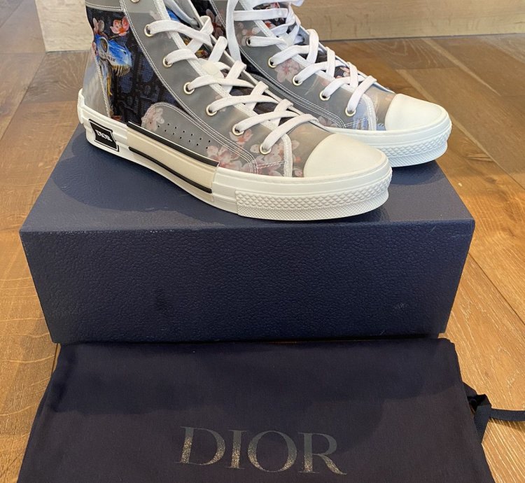Dior B23 -rex High Tops