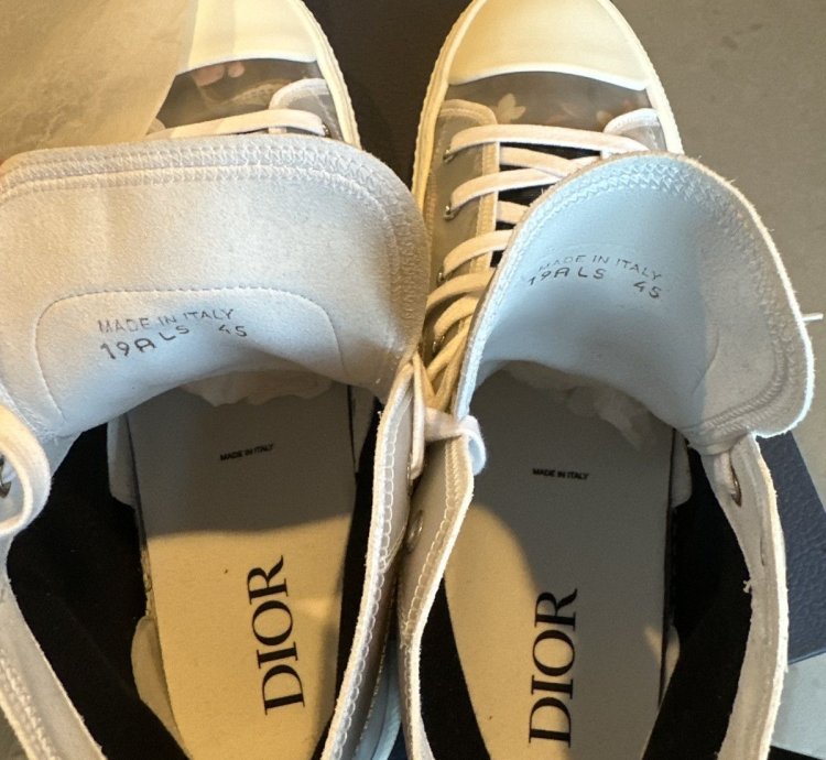 Dior B23 -rex High Tops
