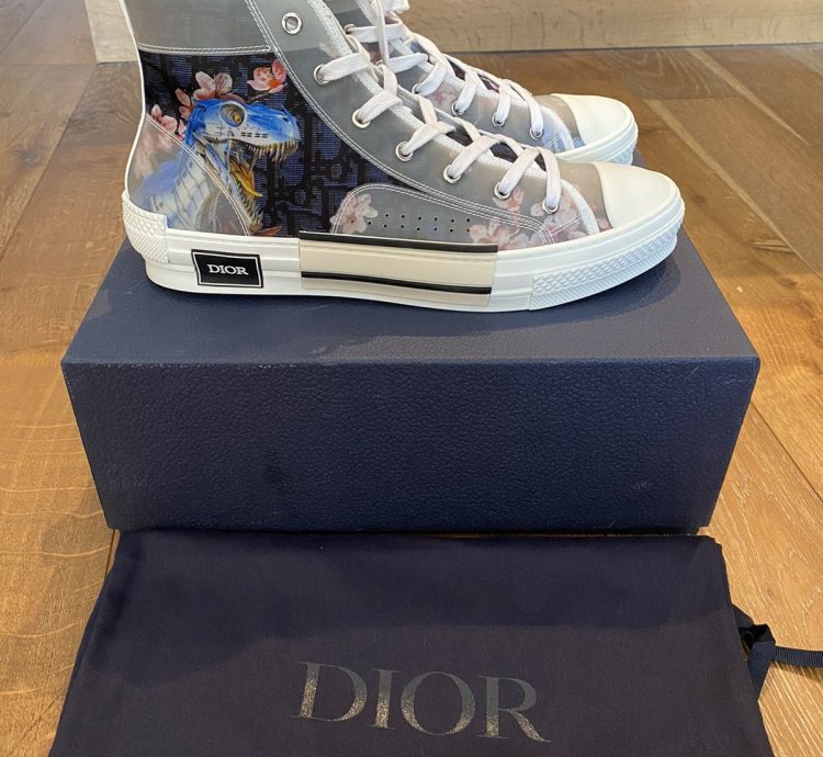 Dior B23 -rex High Tops