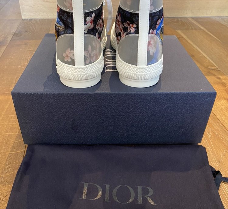 Dior B23 -rex High Tops