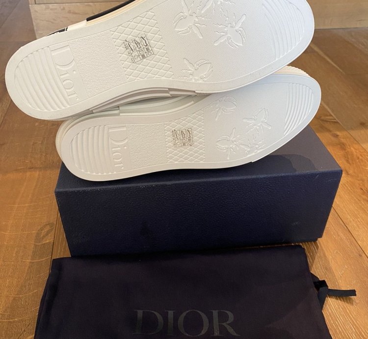 Dior B23 -rex High Tops