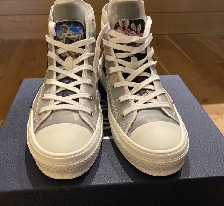 Dior B23 -rex High Tops