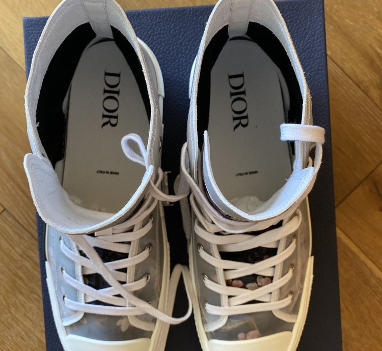 Dior B23 -rex High Tops
